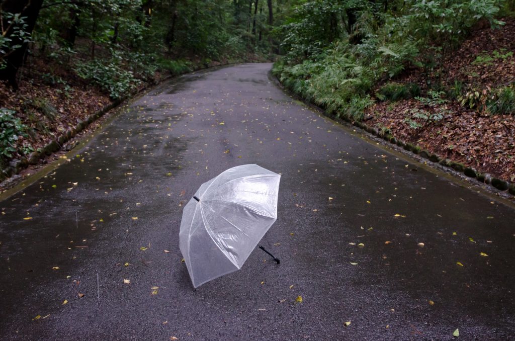 梅雨の傘