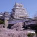 桜の名所１００選に選ばれている桜で関西の滋賀県・京都・兵庫・和歌山・大阪・奈良でおすすめのスポットはどこ？